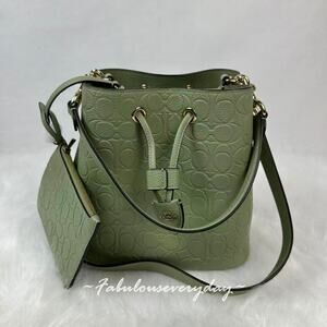 Coach Rowan Bucket Bag Crossbody In Signature Leather CEA96 Pistachio + Pouch